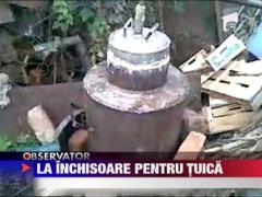 Un roman din SUA, arestat pentru ca a facut tuica in spatele casei