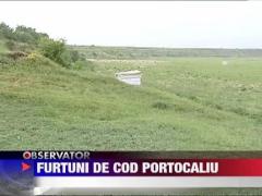 Cod galben in tot estul Romaniei