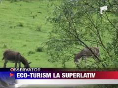 A lasat civilizatia occidentala pentru salbaticia Ardealului