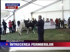 Intrecerea fermierilor din Mogosoaia