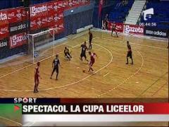 Elevii de la Franklin au castigat Cupa Liceelor