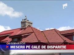 Meserii pe cale de disparitie
