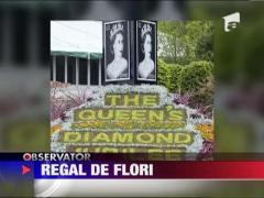 Expozitie impresionata de flori