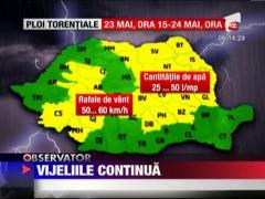 Vijeliile continua sa faca ravagii