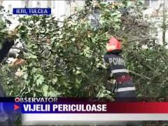 Masini distruse de rafale puternice de vant