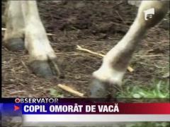 UPDATE / Copil ucis de animalul din curte