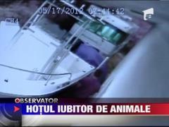 Hotul iubitor de animale