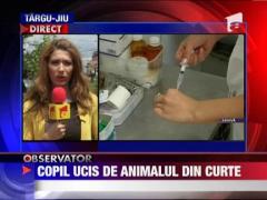 Copil ucis de animalul din curte