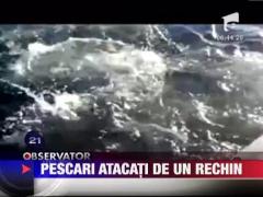 Un rechin alb urias ataca o barca de pescuit