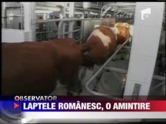 Observator 16 Weekend