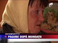 Sute de hectare de culturi inecate de torenti