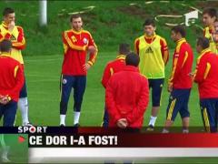 Bogdan Lobont revine in poarta nationalei