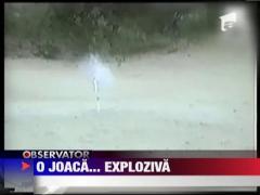 Un caine cam prea jucaus