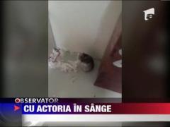 Un hamster cu actoria in sange