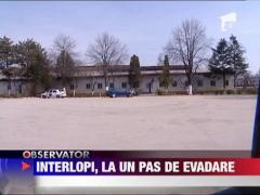 Interlopi, la un pas de evadare