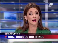 Ursii din Bucegi vor buletine de Sinaia!