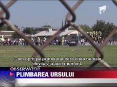 SUA: Locatarii unui bloc s-au trezit cu un urs salbatic pe coridor