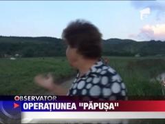 Alarma falsa in Dej: Un barbat a confundat o papusa care plutea pe Somes cu cadavrul unui copil