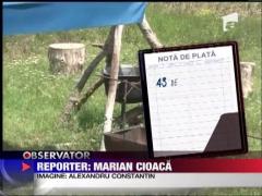 Terapie antistres, la Corbu