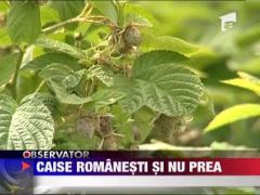 Comercianti vand caise de import cu eticheta romaneasca