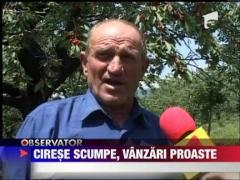 Observator de weekend