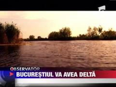 Capitala va avea o Delta in mijlocul orasului