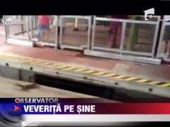 Veverita pe sine