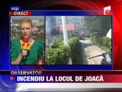 Incendiu devastator intr-un parc din Iasi