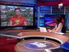 Masina strivita de un copac