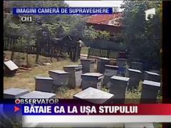Un apicultor a fost luat la bataie de un vecin