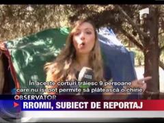 Incredibil: Cinci romani din Spania dorm deasupra unei autostrazi!