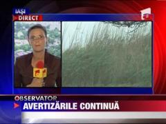 Cod galben de ploi si vijelii