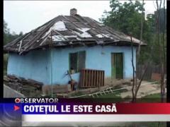 Copiii unei familii sarace si-au facut casa intr-un cotet
