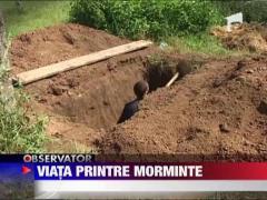 Copilarie printre cruci: Povestea unei familii sarace din Arad