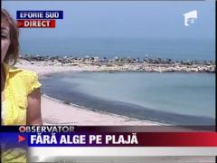 Baraj din plasa pentru prevenirea formarii depozitelor de alge