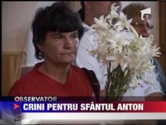 Sfantul Anton, celebrat cu crini