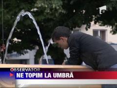 Canicula ii "topeste" pe romani