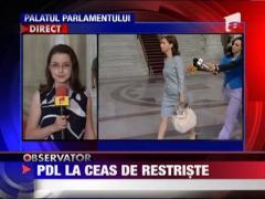 Liderii PDL, intalnire cu Traian Basescu