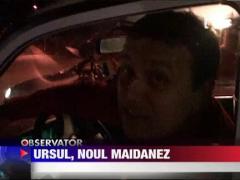 Ursii au invadat pubelele de gunoi de pe Valea Prahovei