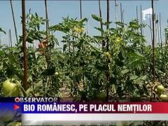 Nemtii au pus ochii pe produsele bio romanesti