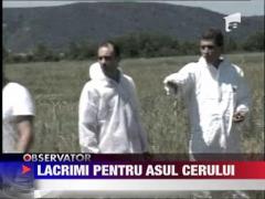 Ancheta dificila in cazul accidentului aviatic de la Banesti