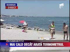 Cod galben de canicula