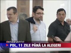 PDL, 11 zile pana la alegeri