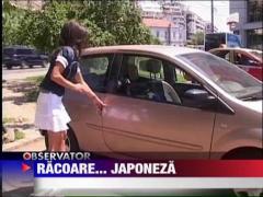 Vezi aici solutie rapida prin care temperatura din masina poate fi redusa cu aproape 10!