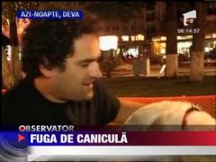 Canicula aglomereaza terasele