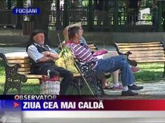 Cod portocaliu de canicula