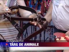 Targ de animale