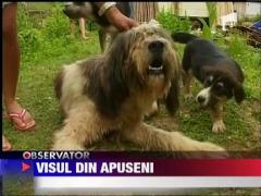 Pastravaria din Apuseni