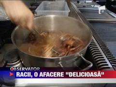 Observator de weekend