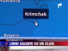 Limbile aflate pe cale de disparitie, salvate de Google